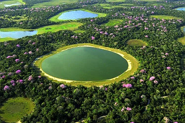 pantanal