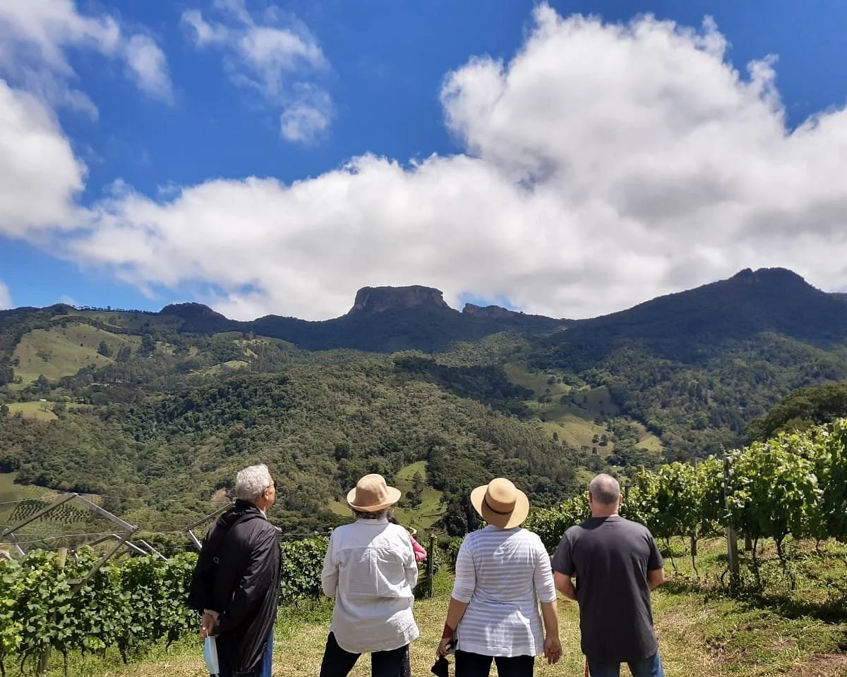 Vinicola Villa Santa Maria - São Bento do Sapucaí - sp